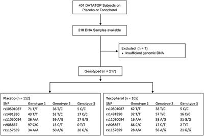 BDNF rs10501087, rs1491850 and rs11030094 polymorphisms associated with delayed progression in early-stage Parkinson's disease